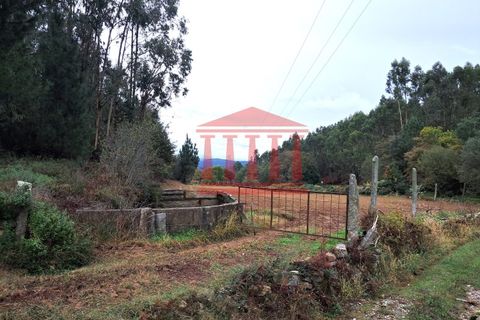 Helårsgrund i Barcelos, Braga, Barcelos - € 25.000 | Ref: 272T001070 - foto 3