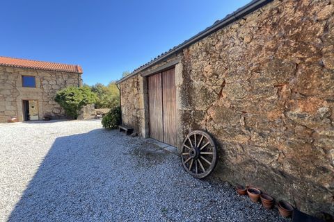 Farm i Ferro, Castelo Branco, Ferro - € 2.100.000 | Ref: QUI3151 - foto 12