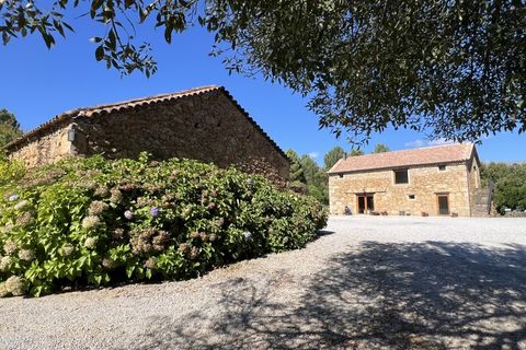 Farm i Ferro, Castelo Branco, Ferro - € 2.100.000 | Ref: QUI3151 - foto 14