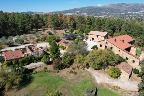 Farm i Ferro, Castelo Branco, Ferro - € 2.100.000 | Ref: QUI3152 - foto 14