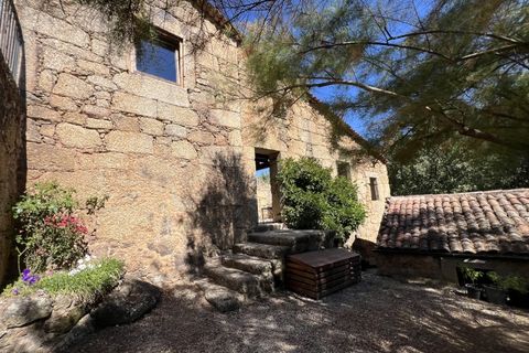 Farm i Ferro, Castelo Branco, Ferro - € 2.100.000 | Ref: QUI3152 - foto 50