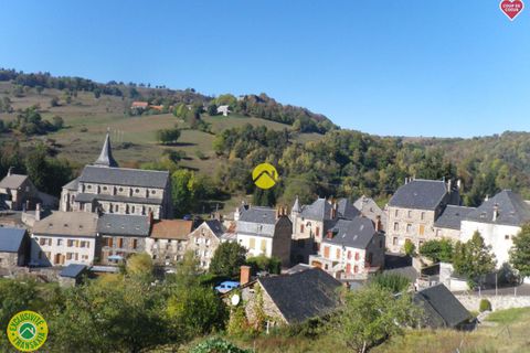 Erhvervsejendom i Massiac, Cantal, Massiac - € 265.000 | Ref: 96CAL110734 - foto 5