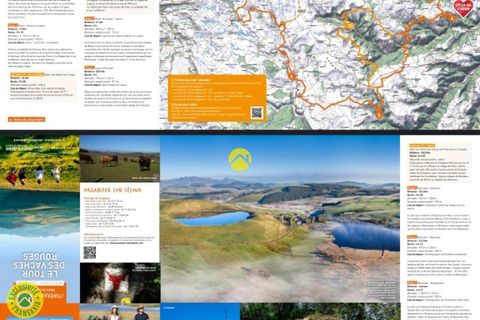 Erhvervsejendom i Massiac, Cantal, Massiac - € 265.000 | Ref: 96CAL110734 - foto 6