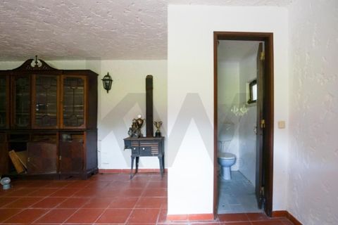 Villa i Sintra, Lisbon, Sintra - € 1.800.000 | Ref: KWPT-018077 - foto 44