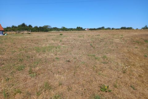 Terra a Lumbres, Pas-de-Calais, Lumbres - € 66.500 | Ref: PL09-1_LUMBRES - foto 4