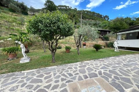 Villa a Massa, Massa and Carrara, Massa - € 600.000 | Ref: MS04 - foto 5