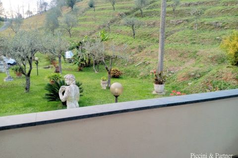 Villa a Massa, Massa and Carrara, Massa - € 600.000 | Ref: MS04 - foto 31