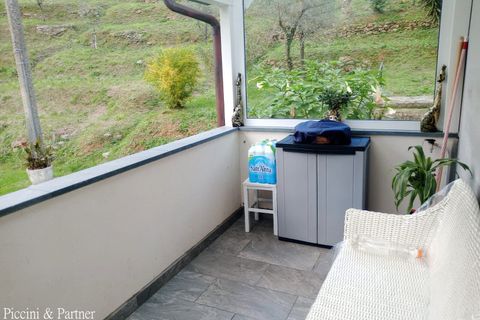 Villa a Massa, Massa and Carrara, Massa - € 600.000 | Ref: MS04 - foto 32