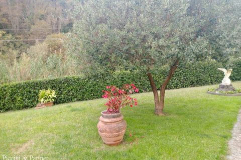 Villa a Massa, Massa and Carrara, Massa - € 600.000 | Ref: MS04 - foto 36
