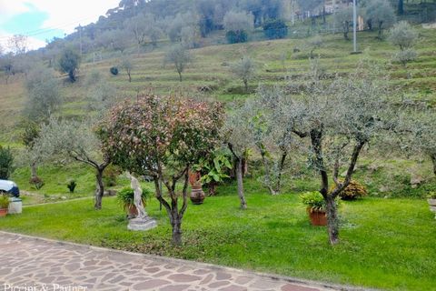 Villa a Massa, Massa and Carrara, Massa - € 600.000 | Ref: MS04 - foto 37