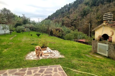 Villa a Massa, Massa and Carrara, Massa - € 600.000 | Ref: MS04 - foto 41