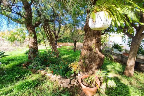 Villa en Lliria, Valencia, Lliria - € 215.000 | Ref: L-405R/5747 - photo 28