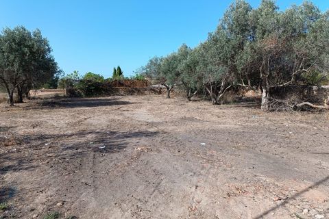 Villa i Lliria, Valencia, Lliria - € 160.000 | Ref: L-407R/5747 - foto 19