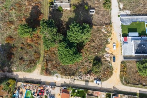 Helårsgrund i Palmela, Setubal, Palmela - € 75.000 | Ref: IMO-116021 - foto 29