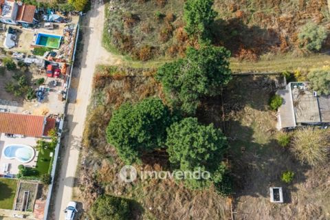 Helårsgrund i Palmela, Setubal, Palmela - € 75.000 | Ref: IMO-116021 - foto 32