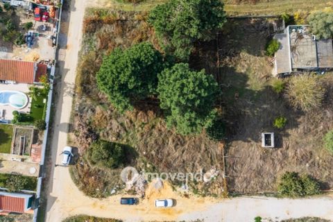 Helårsgrund i Palmela, Setubal, Palmela - € 75.000 | Ref: IMO-116021 - foto 33