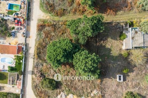 Helårsgrund i Palmela, Setubal, Palmela - € 75.000 | Ref: IMO-116021 - foto 34