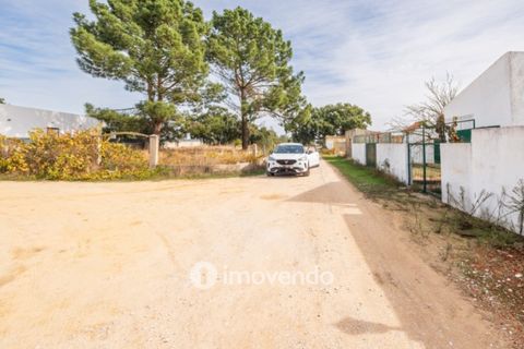 Helårsgrund i Palmela, Setubal, Palmela - € 75.000 | Ref: IMO-116021 - foto 37