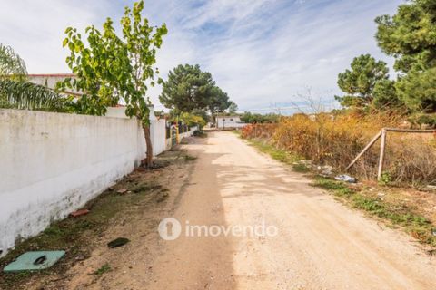 Helårsgrund i Palmela, Setubal, Palmela - € 75.000 | Ref: IMO-116021 - foto 40