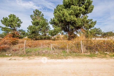 Helårsgrund i Palmela, Setubal, Palmela - € 75.000 | Ref: IMO-116021 - foto 41