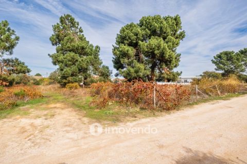 Helårsgrund i Palmela, Setubal, Palmela - € 75.000 | Ref: IMO-116021 - foto 42