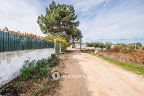 Helårsgrund i Palmela, Setubal, Palmela - € 75.000 | Ref: IMO-116021 - foto 43