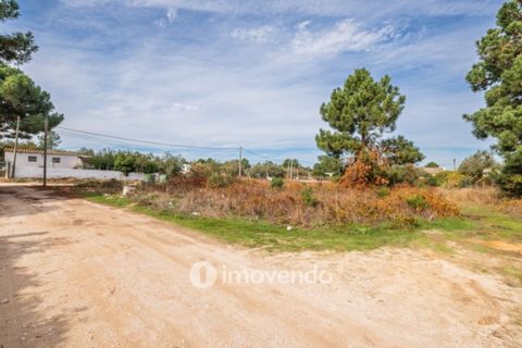 Helårsgrund i Palmela, Setubal, Palmela - € 75.000 | Ref: IMO-116021 - foto 44
