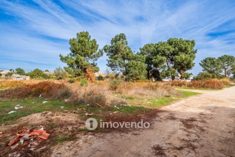 Helårsgrund i Palmela, Setubal, Palmela - € 75.000 | Ref: IMO-116021 - foto 45