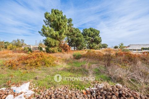 Helårsgrund i Palmela, Setubal, Palmela - € 75.000 | Ref: IMO-116021 - foto 46