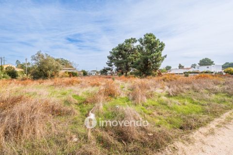 Helårsgrund i Palmela, Setubal, Palmela - € 75.000 | Ref: IMO-116021 - foto 47