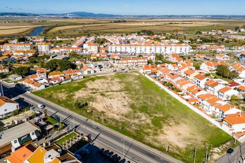 Terra a Samora Correia, Santarem, Samora Correia - € 2.760.000 | Ref: 0492/25 - foto 2