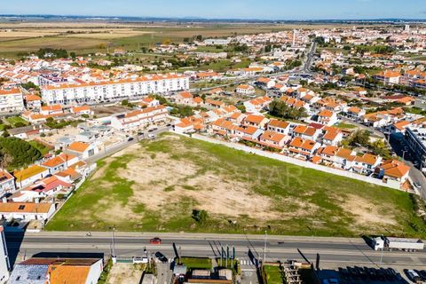 Terra a Samora Correia, Santarem, Samora Correia - € 2.760.000 | Ref: 0492/25 - foto 4
