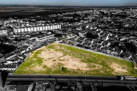 Terra a Samora Correia, Santarem, Samora Correia - € 2.760.000 | Ref: 0492/25 - foto 5