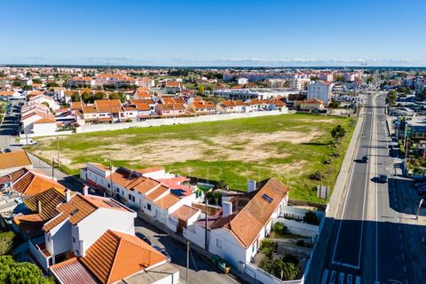 Terra a Samora Correia, Santarem, Samora Correia - € 2.760.000 | Ref: 0492/25 - foto 12