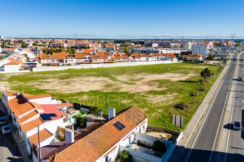 Terra a Samora Correia, Santarem, Samora Correia - € 2.760.000 | Ref: 0492/25 - foto 13