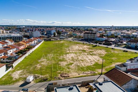 Terra a Samora Correia, Santarem, Samora Correia - € 2.760.000 | Ref: 0492/25 - foto 14