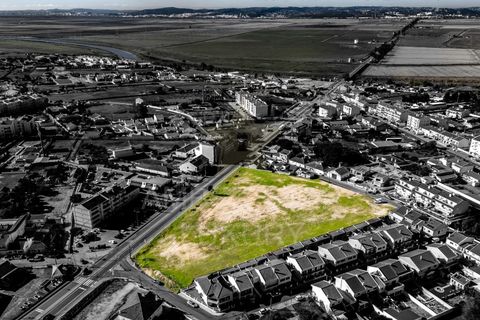 Terra a Samora Correia, Santarem, Samora Correia - € 2.760.000 | Ref: 0492/25 - foto 20