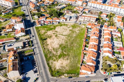 Terra a Samora Correia, Santarem, Samora Correia - € 2.760.000 | Ref: 0492/25 - foto 27