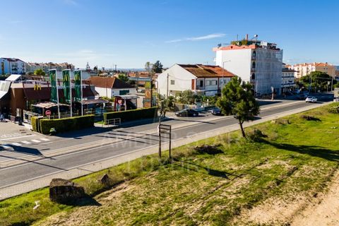 Terra a Samora Correia, Santarem, Samora Correia - € 2.760.000 | Ref: 0492/25 - foto 38