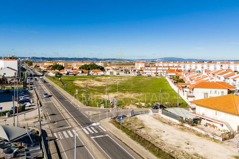 Terra a Samora Correia, Santarem, Samora Correia - € 2.760.000 | Ref: 0492/25 - foto 45