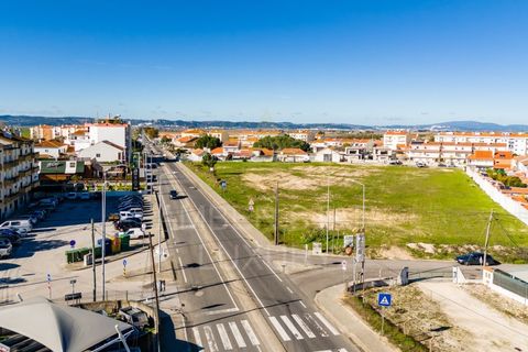 Terra a Samora Correia, Santarem, Samora Correia - € 2.760.000 | Ref: 0492/25 - foto 46