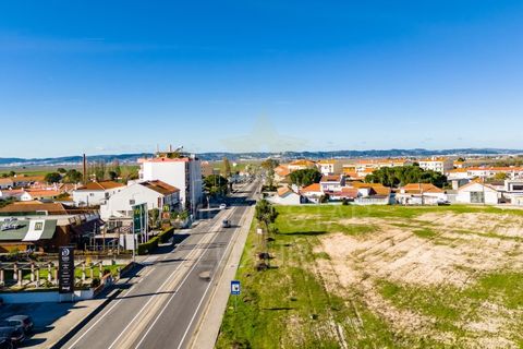 Terra a Samora Correia, Santarem, Samora Correia - € 2.760.000 | Ref: 0492/25 - foto 49