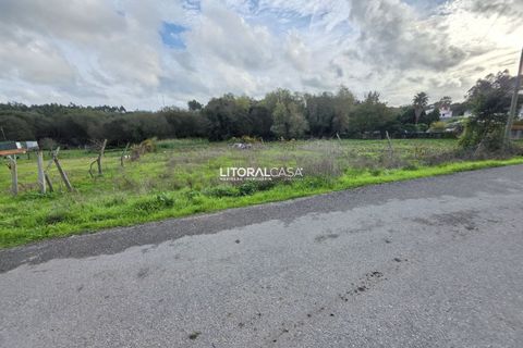 Helårsgrund i Aveiro, Aveiro, Aveiro - € 70.000 | Ref: VEN-4138 - foto 4
