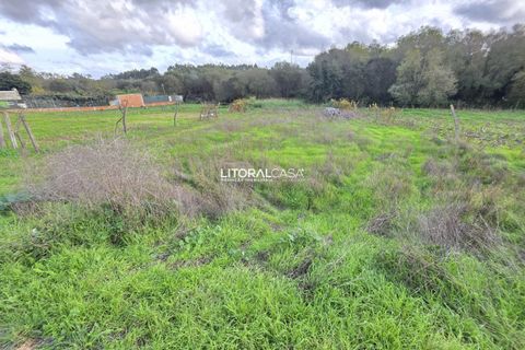 Helårsgrund i Aveiro, Aveiro, Aveiro - € 70.000 | Ref: VEN-4138 - foto 14