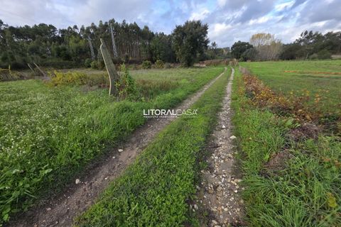 Helårsgrund i Aveiro, Aveiro, Aveiro - € 15.000 | Ref: VEN-4139 - foto 1