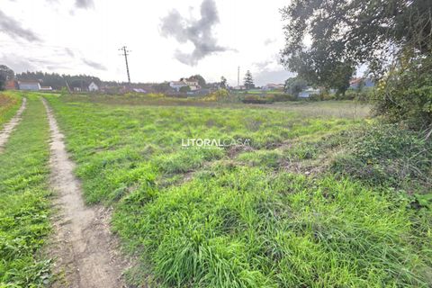 Helårsgrund i Aveiro, Aveiro, Aveiro - € 15.000 | Ref: VEN-4139 - foto 2