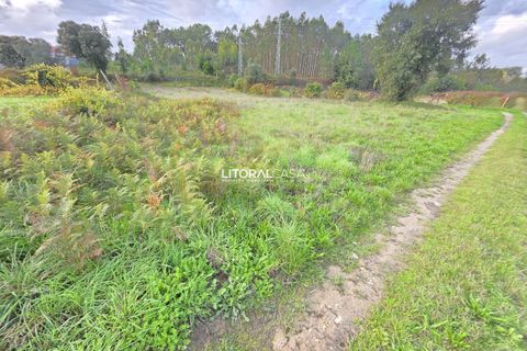 Helårsgrund i Aveiro, Aveiro, Aveiro - € 15.000 | Ref: VEN-4139 - foto 3