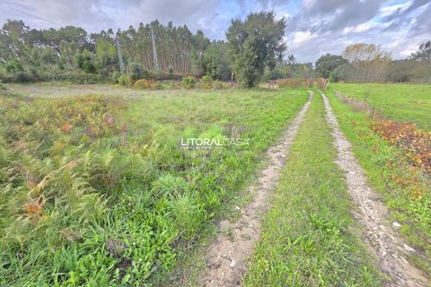 Helårsgrund i Aveiro, Aveiro, Aveiro - € 15.000 | Ref: VEN-4139 - foto 4