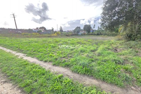 Helårsgrund i Aveiro, Aveiro, Aveiro - € 15.000 | Ref: VEN-4139 - foto 5