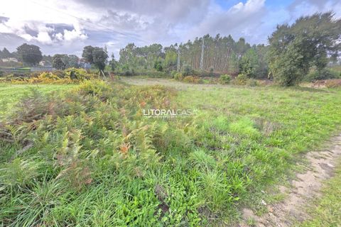 Helårsgrund i Aveiro, Aveiro, Aveiro - € 15.000 | Ref: VEN-4139 - foto 6